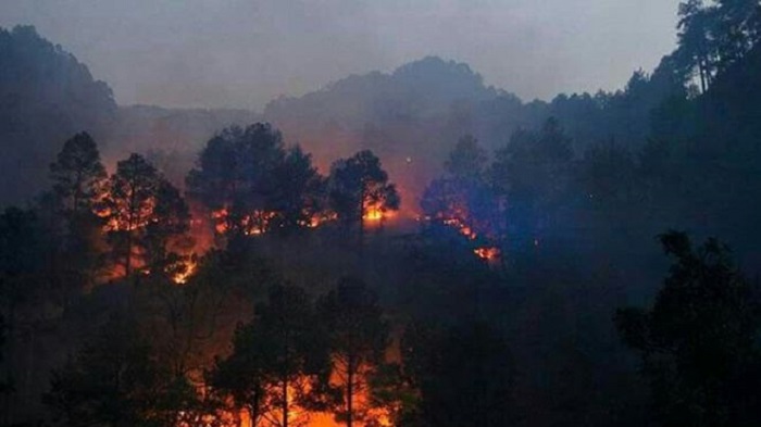 Uttarakhand fires: Battle to douse deadly blaze in Indian state